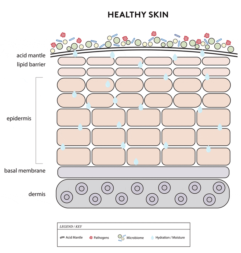 Visual skin barrier